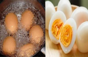 ডিম সিদ্ধ করার সঠিক সময়