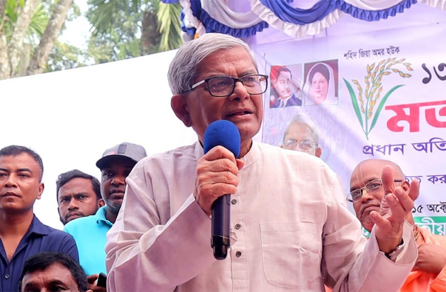 দেশ বাঁচাতে দ্রুত নির্বাচন দরকার : মির্জা ফখরুল