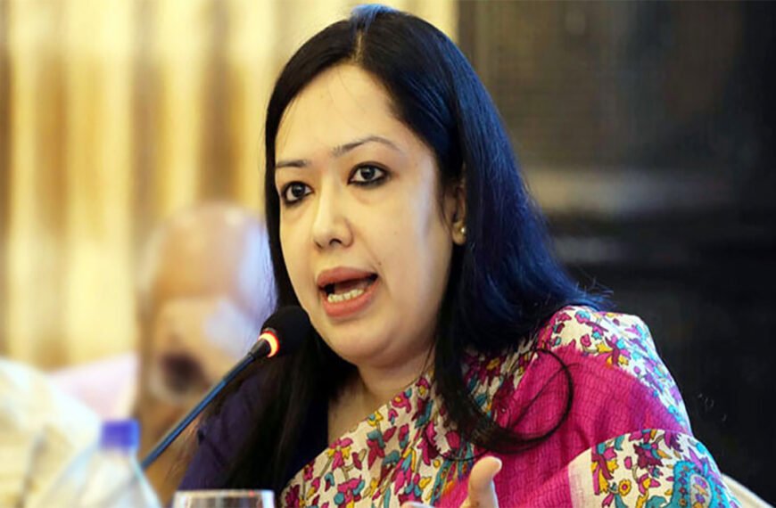 সেনাবাহিনীকে যে ভাষায় আক্রমণ করা হয়েছে, অতীতে কখনো হয়নি : রুমিন ফারহানা