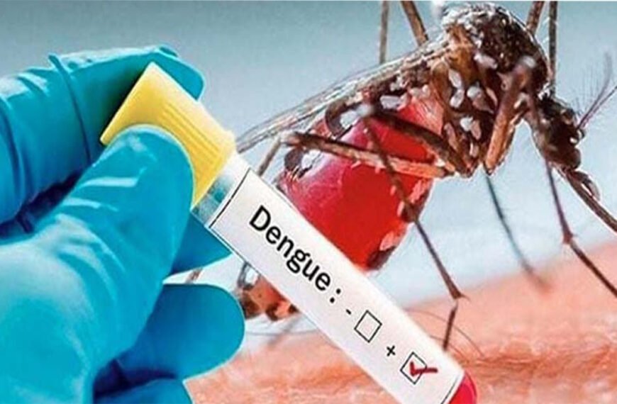 ডেঙ্গুতে আরও ৪ জনের মৃত্যু, হাসপাতালে ভর্তি ৮০৩