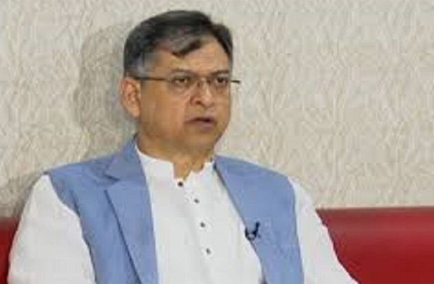 অন্তর্বর্তী সরকারের বিভিন্ন কর্মকাণ্ডে বিএনপি হতাশ : সালাহউদ্দিন আহমদ