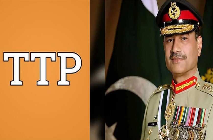 পুরুষ হলে আমাদের মুখোমুখি হোন, পাক সেনাপ্রধানকে টিটিপি