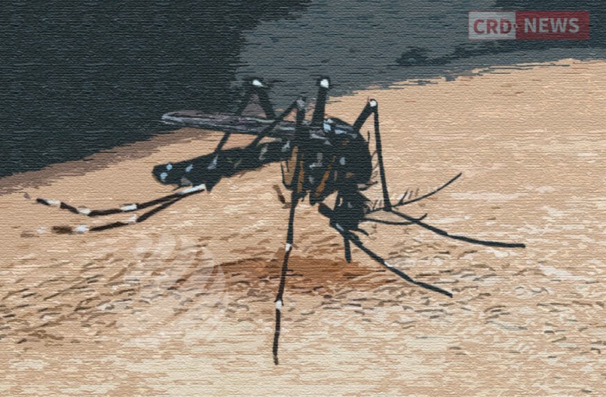 ডেঙ্গু আক্রান্ত হয়ে হাসপাতালে ভর্তি ৬৫৯