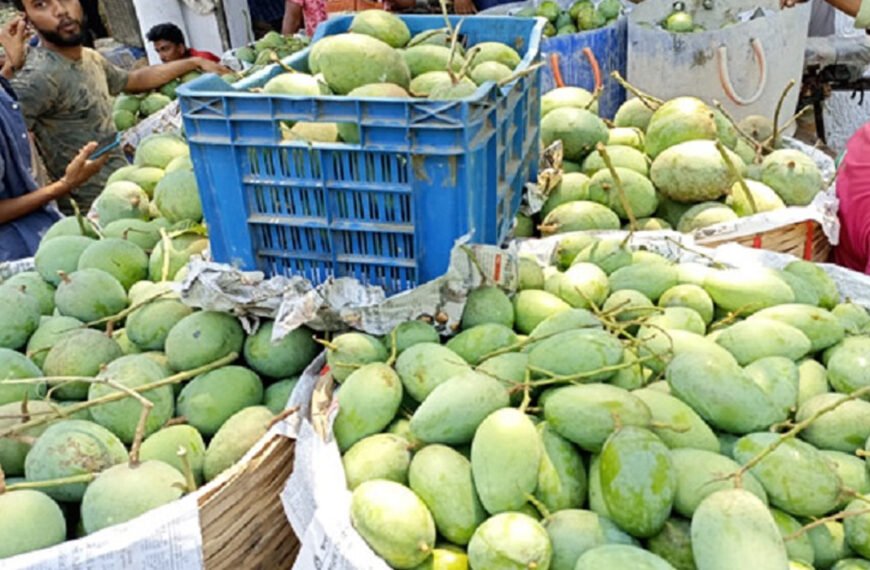 আম রপ্তানিতে ভাটা, দুই বছরের রেকর্ড ভাঙল , চীনের বাজারেও হতাশা