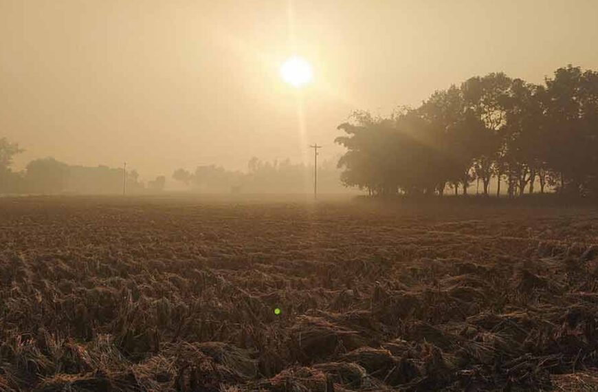 তেঁতুলিয়ায় তাপমাত্রা নেমে ১৩.৪ ডিগ্রি, বাড়ছে শীত ও ঠাণ্ডাজনিত রোগী