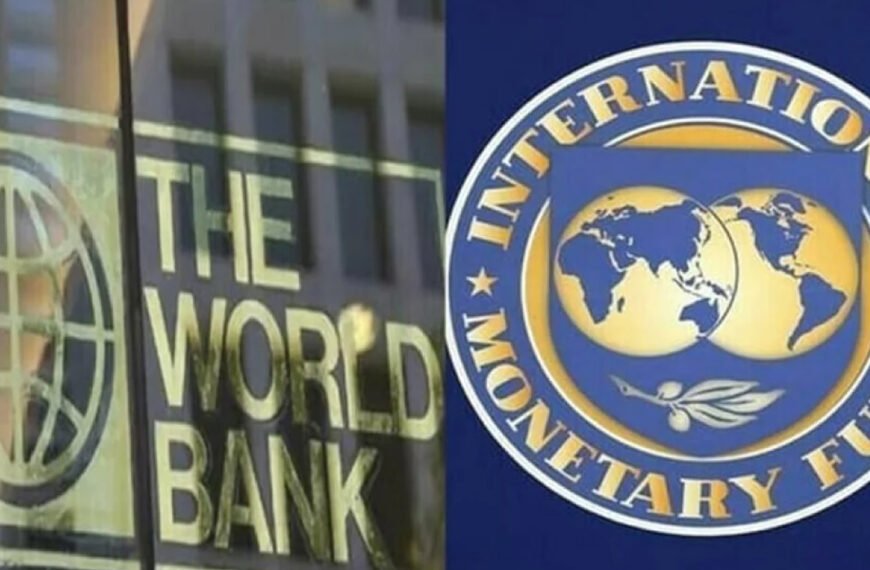 সমন্বিত ঋণ ব্যবস্থাপনা অফিস (ডিএমও) প্রতিষ্ঠার সুপারিশ করেছে আইএমএফ