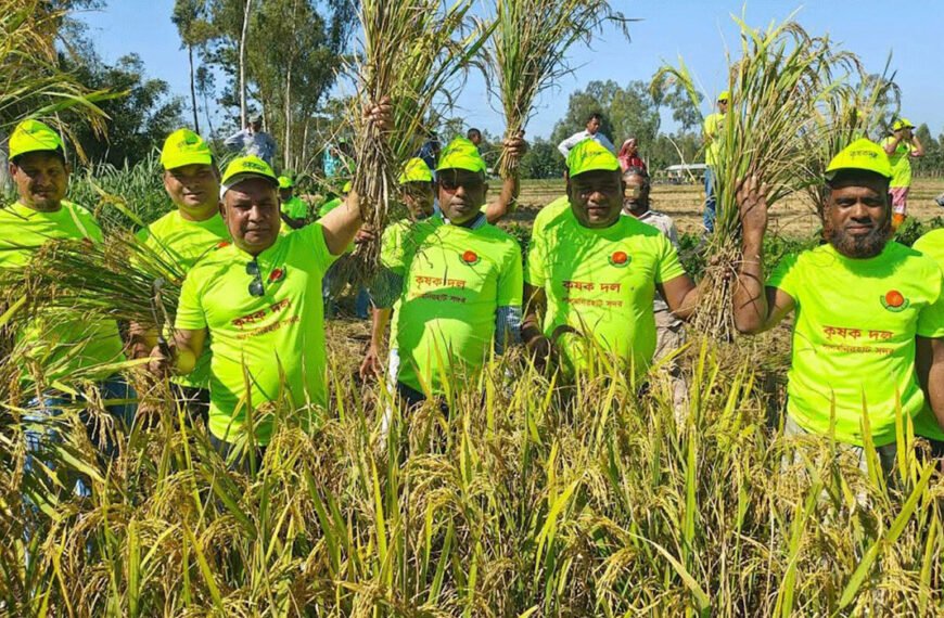 অর্থসংকটে ধান কাটতে না পারায় চার কৃষকের পাশে কৃষকদলের নেতাকর্মীরা