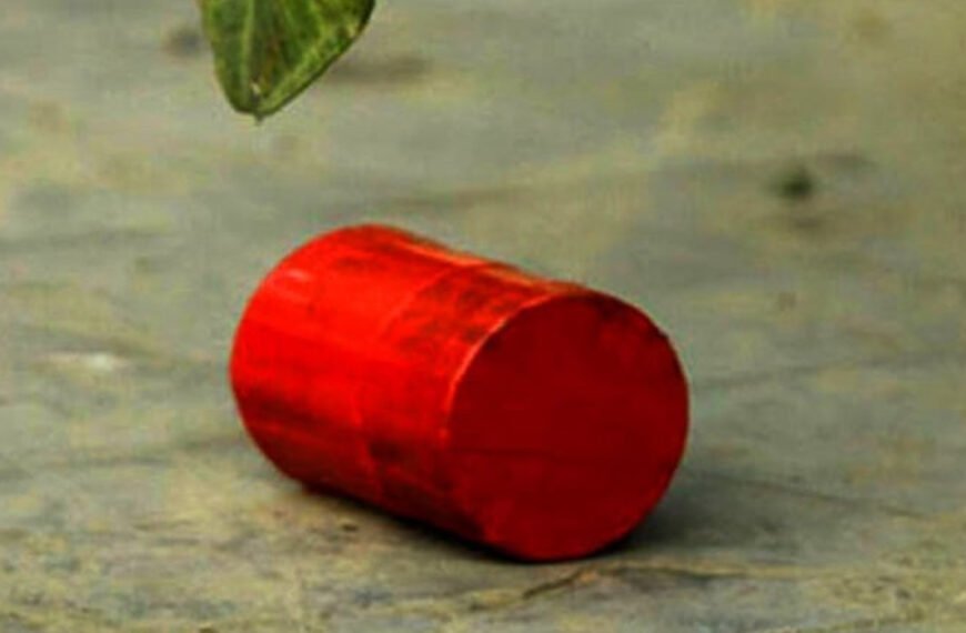 মোহাম্মদপুরের সেন্ট যোসেফ উচ্চবিদ্যালয়ে গভীর রাতে ককটেল বিস্ফোরণ