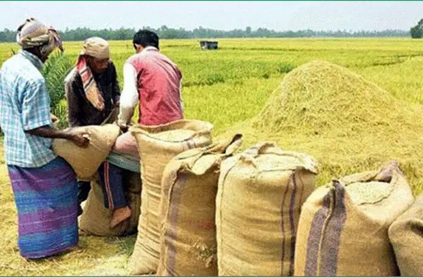 সরকারি সংগ্রহে আতপ চাল ৪৯ টাকা, সেদ্ধ চাল ৫০ টাকা প্রতি কেজি