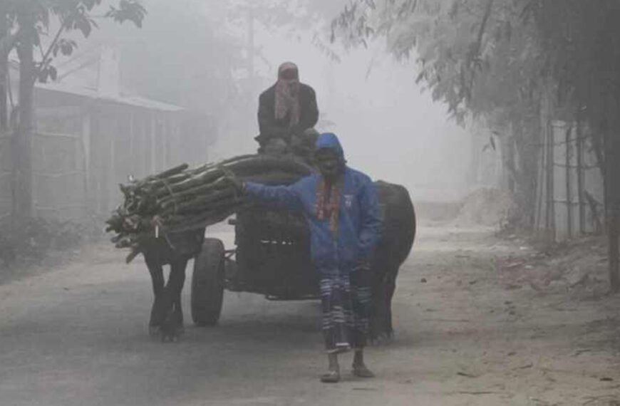 পঞ্চগড়ে তীব্র শীত, আর্দ্রতায় অনুভূতি বেড়েছে