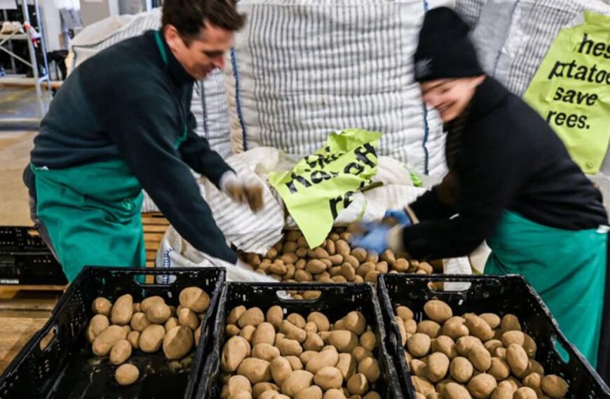 জার্মানিতে বিনামূল্যে আলু বিতরণের হিড়িক