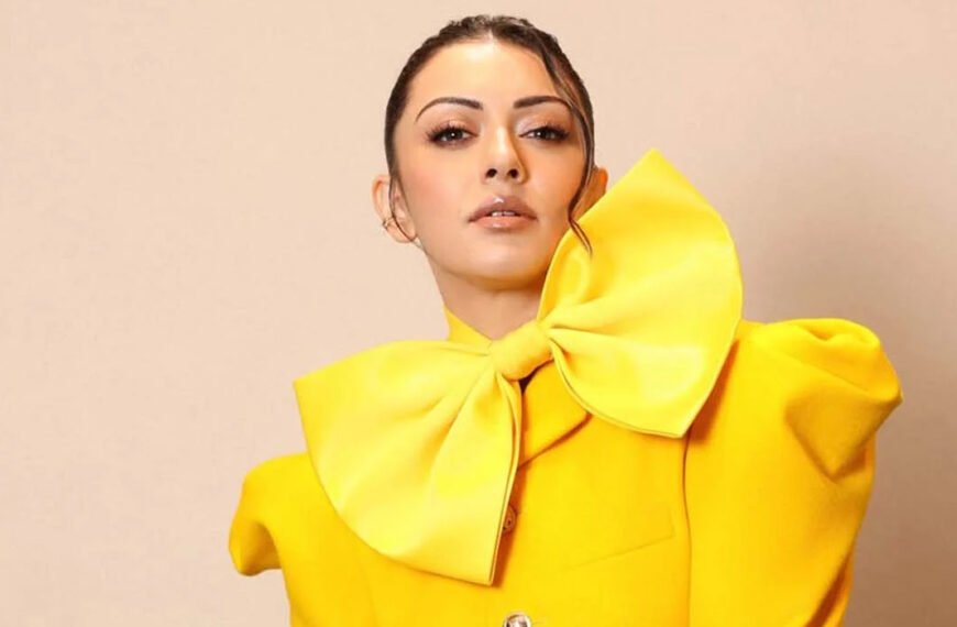 ফের পারিবারিক ঝামেলায় জড়ালেন হানসিকা, ভাইয়ের সাবেক স্ত্রীর বিরুদ্ধে মানহানির মামলা