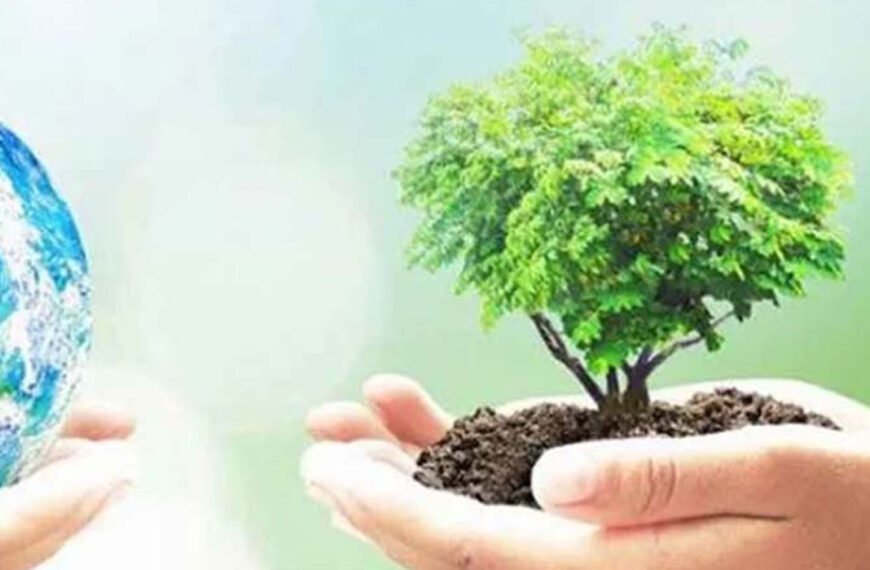 বৃক্ষরোপণে ৫৩ কোটি ৬৬ লাখ টাকার প্রণোদনা, বিতরণ হবে ১৬ লাখ ২৮ হাজার চারা