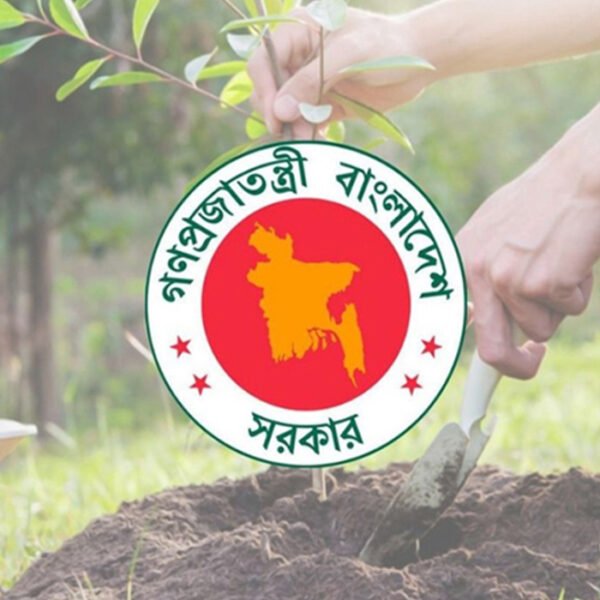 ২৫ কোটি গাছ রোপণের কার্বন ক্রেডিট বিক্রি করে বিলিয়ন ডলার আয় করতে পারে বাংলাদেশ
