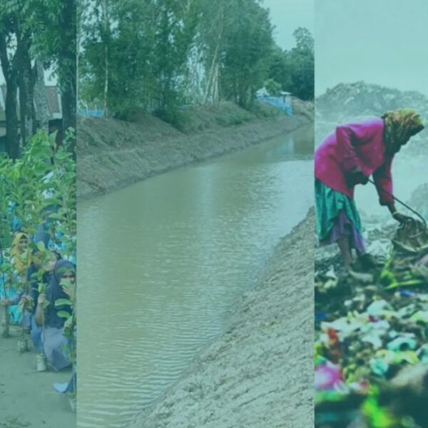 সরকারের ১৮০ দিনে বৃক্ষরোপণ, খাল খনন ও বর্জ্য ব্যবস্থাপনায় লক্ষ্যমাত্রা পূরণ