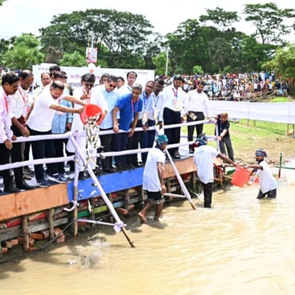 ব্রহ্মপুত্র নদে মাছের পোনা অবমুক্ত করলেন প্রধানমন্ত্রী