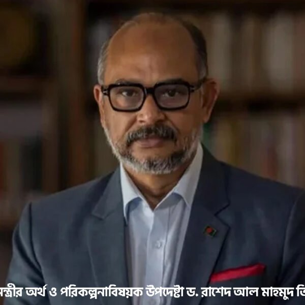 ভঙ্গুর অর্থনীতি থেকে ট্রিলিয়ন ডলারের অর্থনীতি গড়ার পথে বাংলাদেশ: ড. তিতুমীর